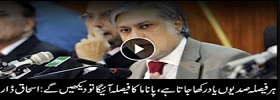 Ishaq Dar media talk